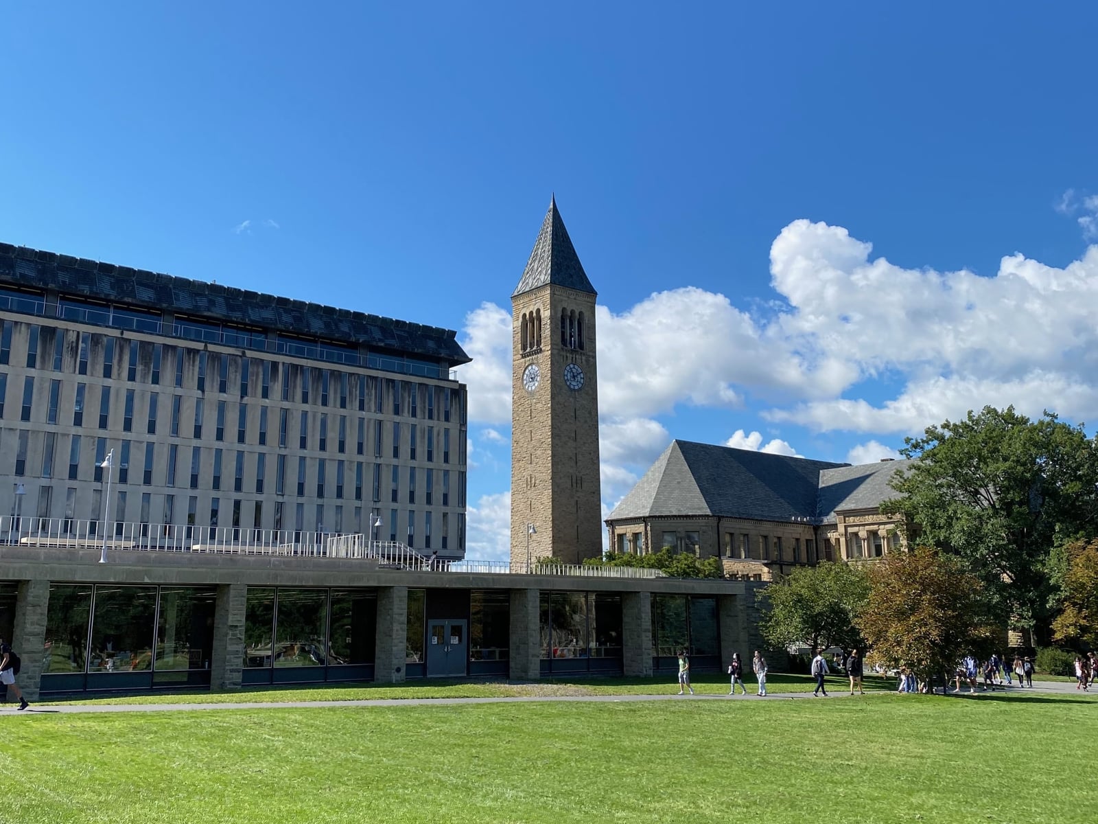 Olin Library